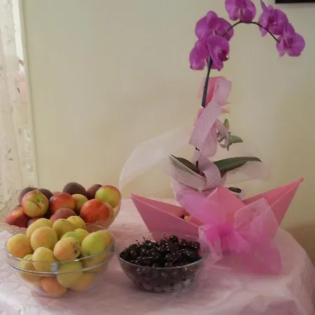 Zaghini Rimini